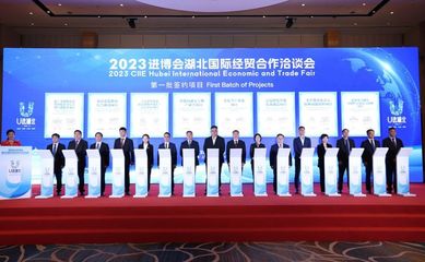 王忠林率团参加第六届中国国际进口博览会 并开展经贸洽谈