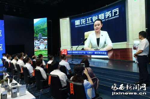 跨过云端 走向世界——鸡西·湖南邵阳经济开发区名优产品云展示暨经贸洽谈会侧记