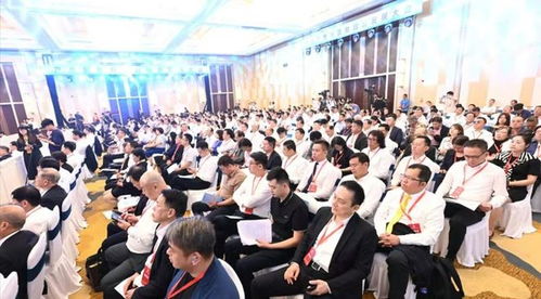 第28届鲁台经贸洽谈会在潍坊隆重开幕，共绘合作新蓝图